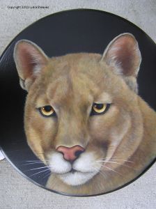 Cougar Acrylic e-Packet
